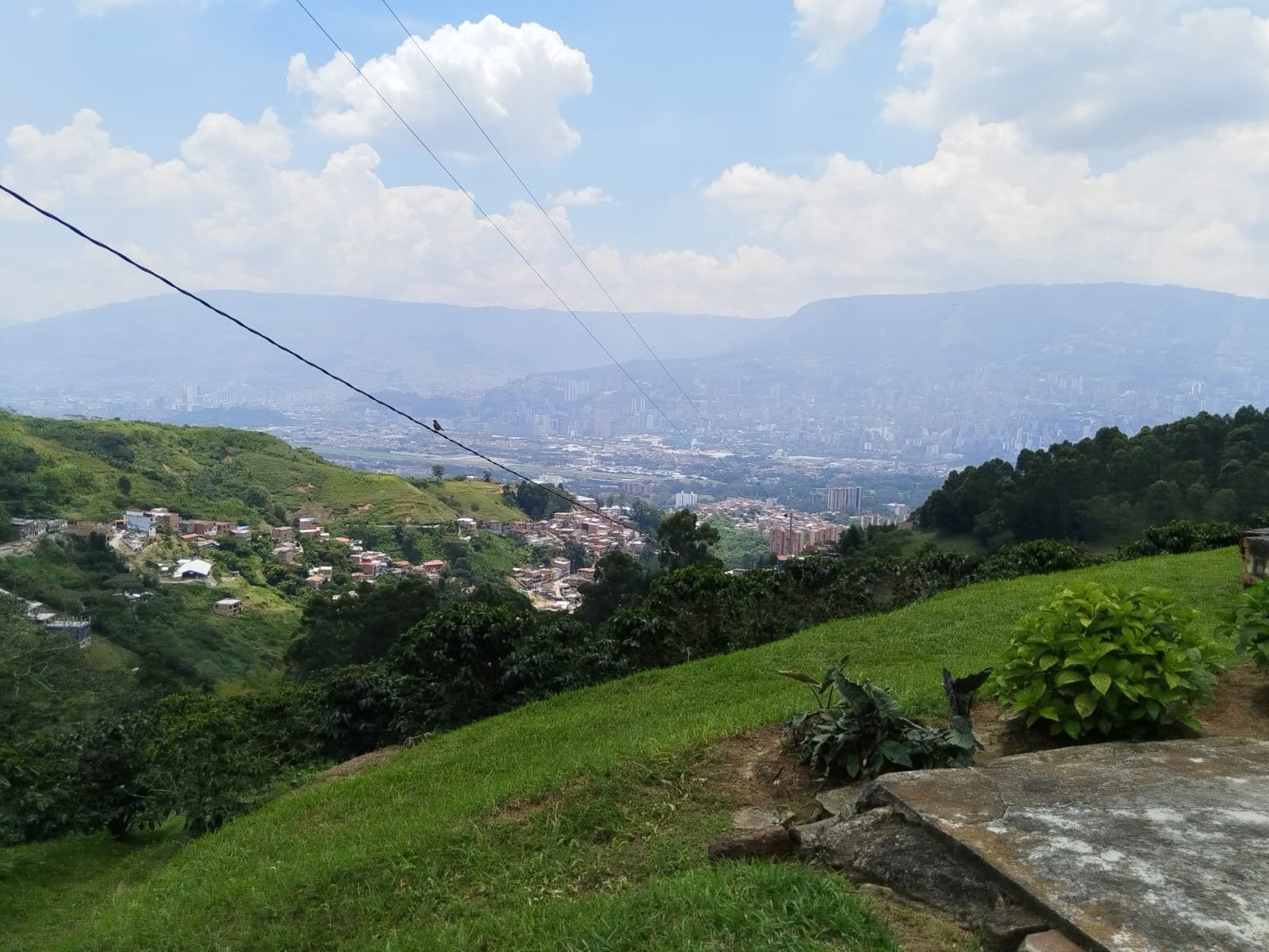 Artisanal Coffee Farm Near Medellín – Boutique Tourism and Investment Opportunity — Vereda El Jardin